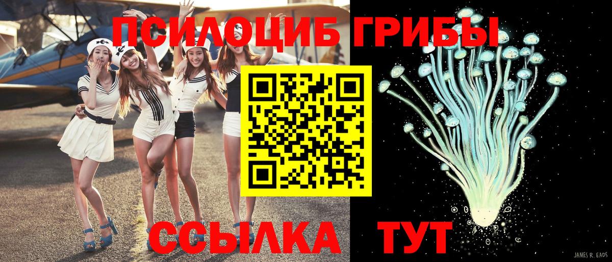 Галлюциногенные грибы MAGIC MUSHROOMS  Вход с VPN  Кубинка  Галлюциногенные грибы Cubensis 