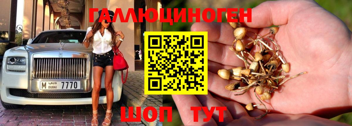 Галлюциногенные грибы мицелий Кубинка
